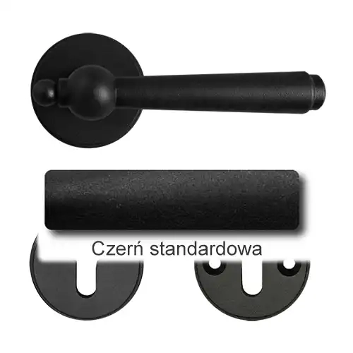 1Czerń standardowa.webp