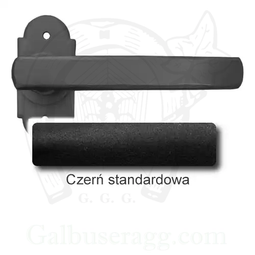 1Czerń standardowa.webp