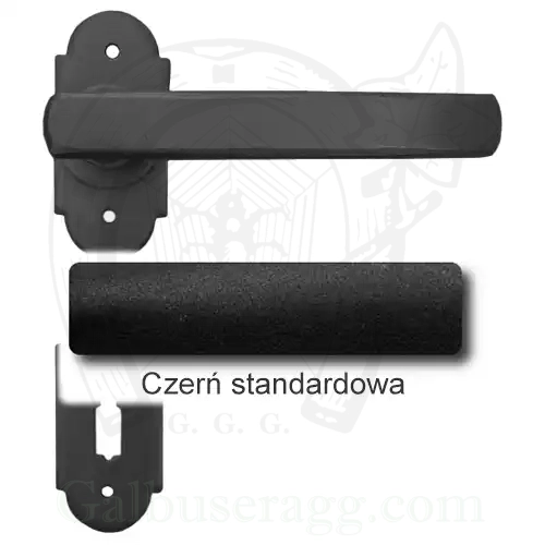 1Czerń standardowa.webp