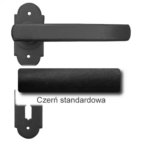 1Czerń standardowa.webp
