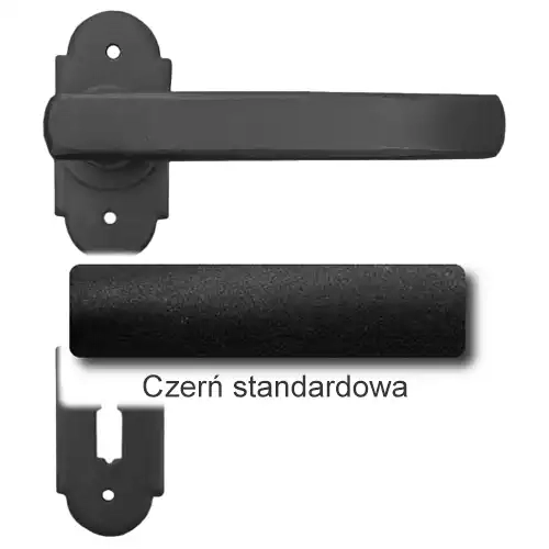 1Czerń standardowa.webp