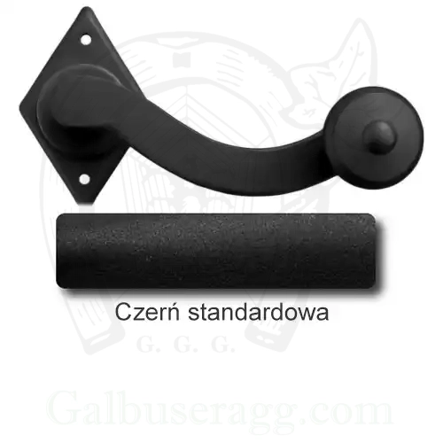 1Czerń standardowa.webp