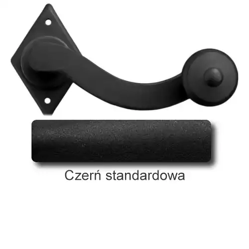 1Czerń standardowa.webp