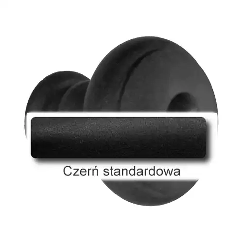 1Czerń standardowa.webp