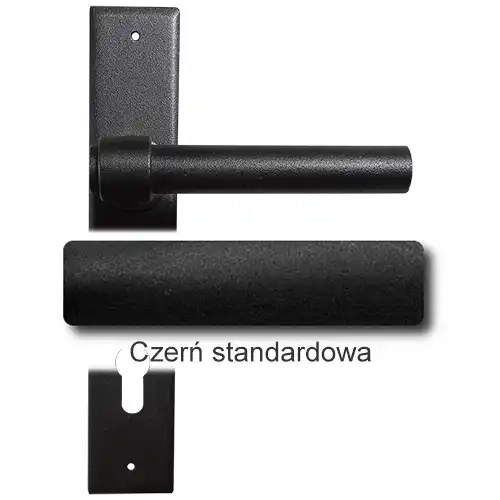 1Czerń standardowa.webp