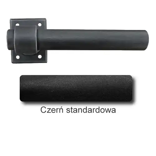 1Czerń standardowa.webp