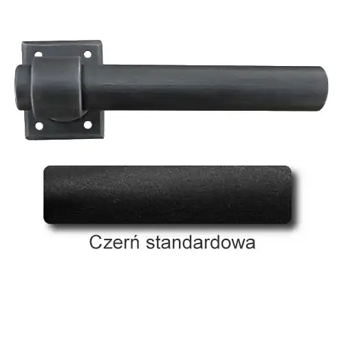 1Czerń standardowa.webp