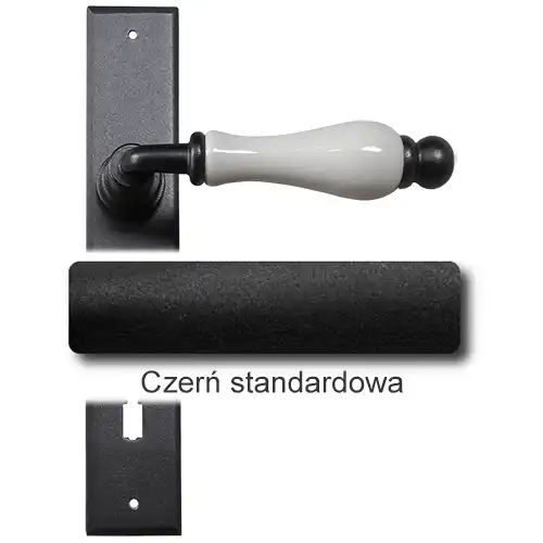 1 Czerń standardowa.webp