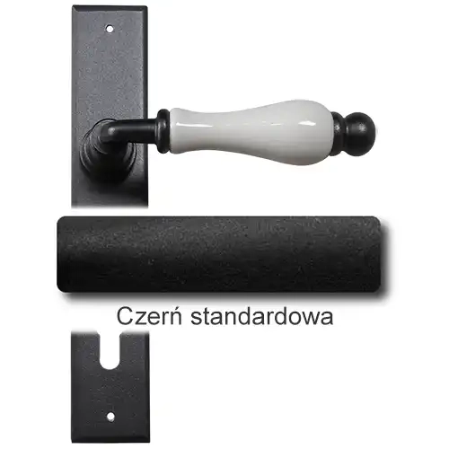 1 Czerń standardowa.webp