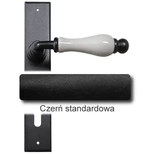 1 Czerń standardowa.webp