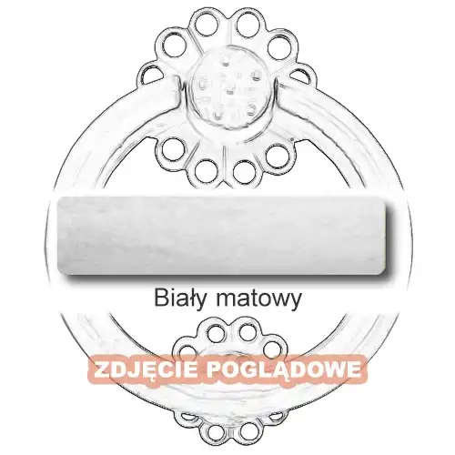 10 Biały matowy.webp