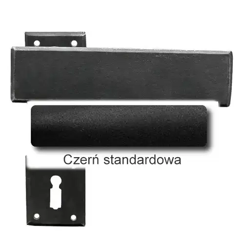 1 Czerń standardowa.webp