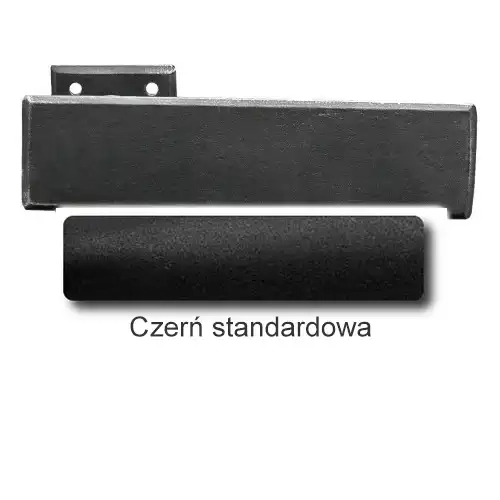 1 Czerń standardowa.webp
