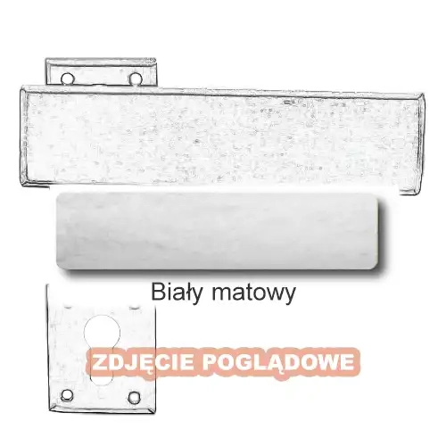 10 Biały matowy.webp