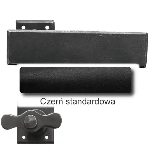 1 Czerń standardowa.webp