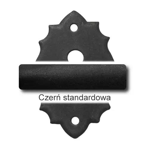 1 Czerń standardowa.webp