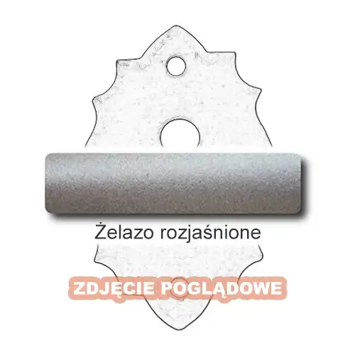 5 Żelazo rozjaśnione.webp