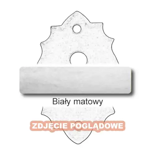 10 Biały matowy.webp
