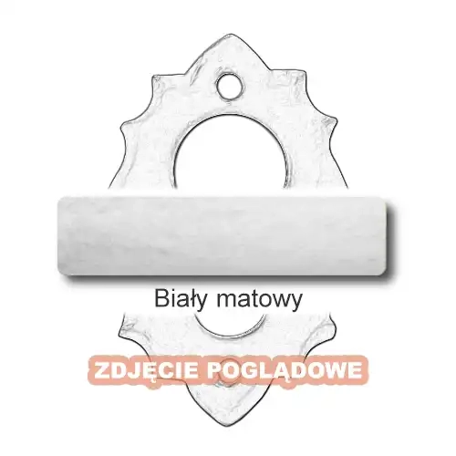 10 Biały matowy.webp