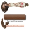 11 Czerwień brązowiona.webp