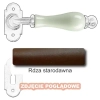 9 Rdza starodawna.webp