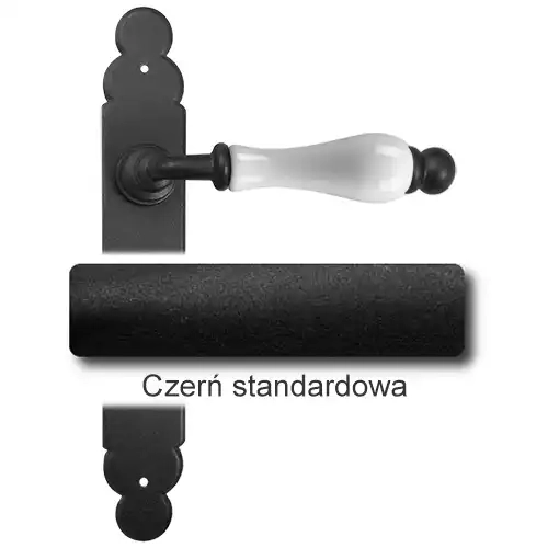 1 Czerń standardowa.webp