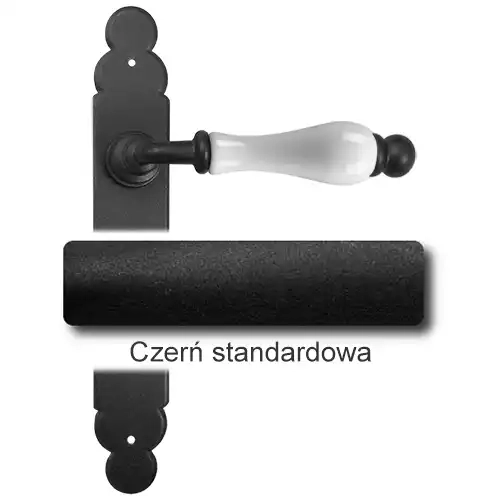 1 Czerń standardowa.webp