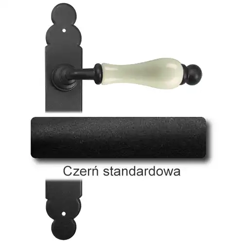 1 Czerń standardowa.webp