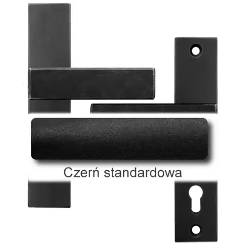 1 Czerń standardowa.webp