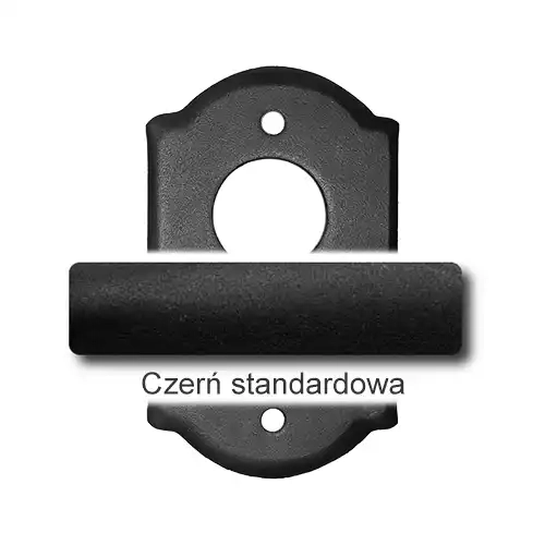 1 Czerń standardowa.webp