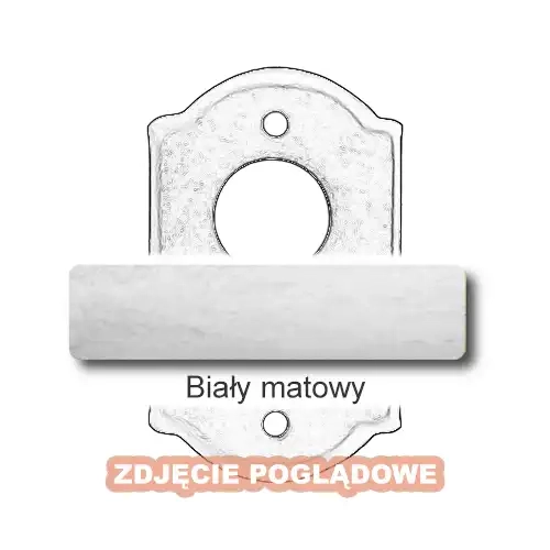 10 Biały matowy.webp
