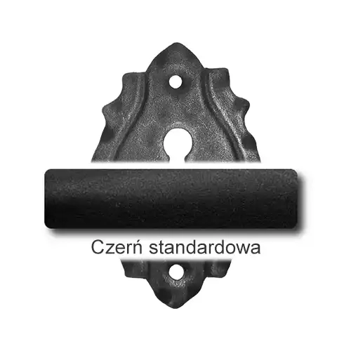 1 Czerń standardowa.webp