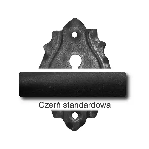1 Czerń standardowa.webp
