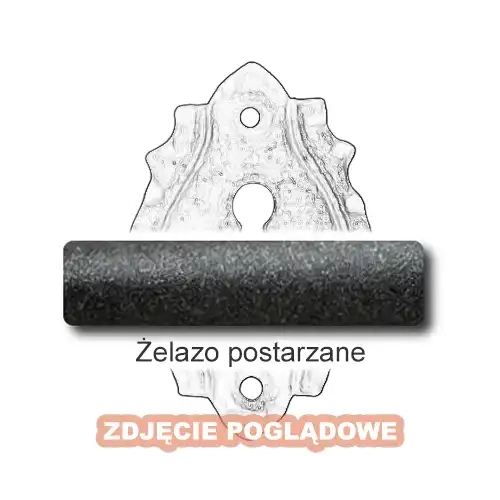 4 Żelazo postarzane.webp