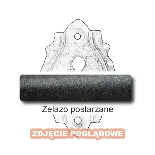 4 Żelazo postarzane.webp