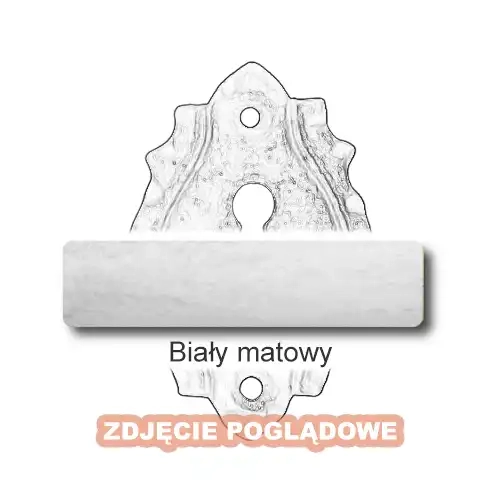 10 Biały matowy.webp