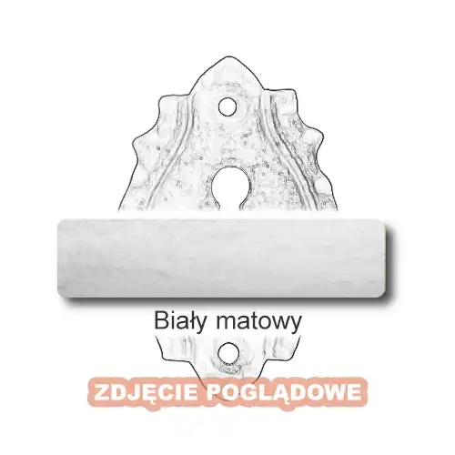 10 Biały matowy.webp
