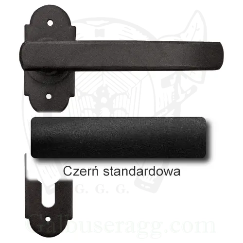 1Czerń standardowa.webp