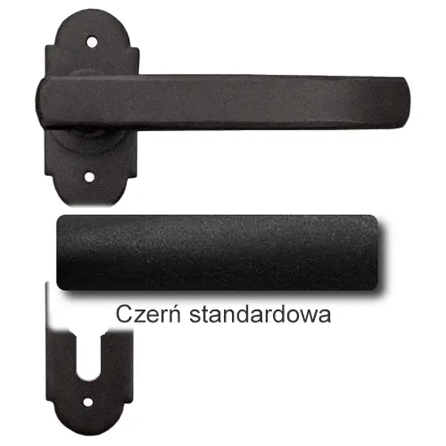 1Czerń standardowa.webp