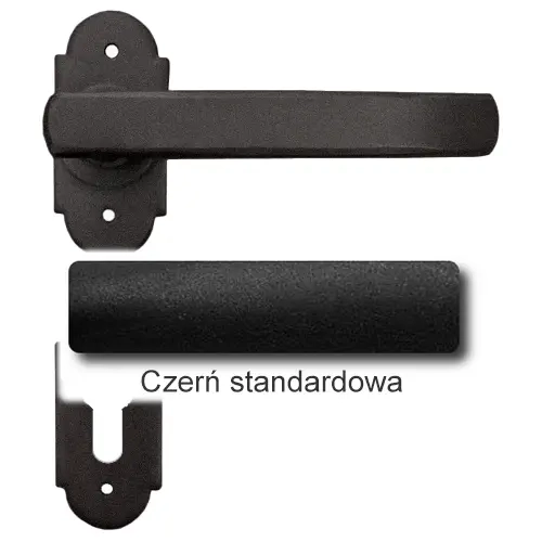 1Czerń standardowa.webp