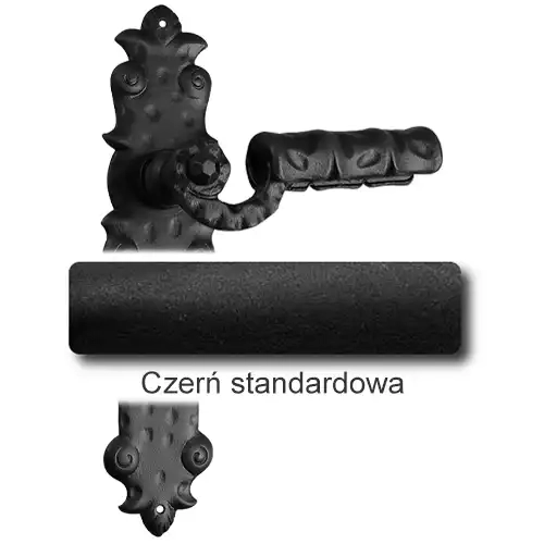 1 Czerń standardowa.webp