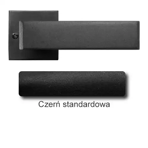 1 Czerń standardowa.webp