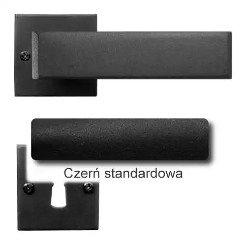 1 Czerń standardowa.webp