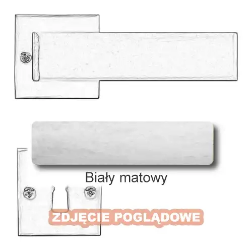 10 Biały matowy.webp