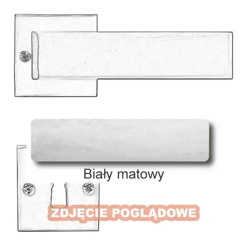 10 Biały matowy.webp