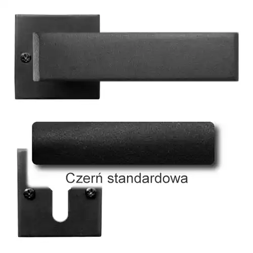1 Czerń standardowa.webp