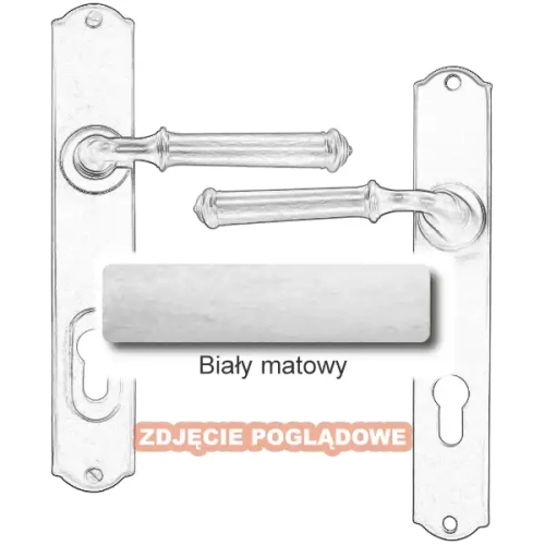 10 Biały matowy.webp