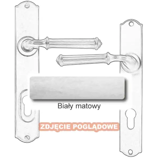 10 Biały matowy.webp