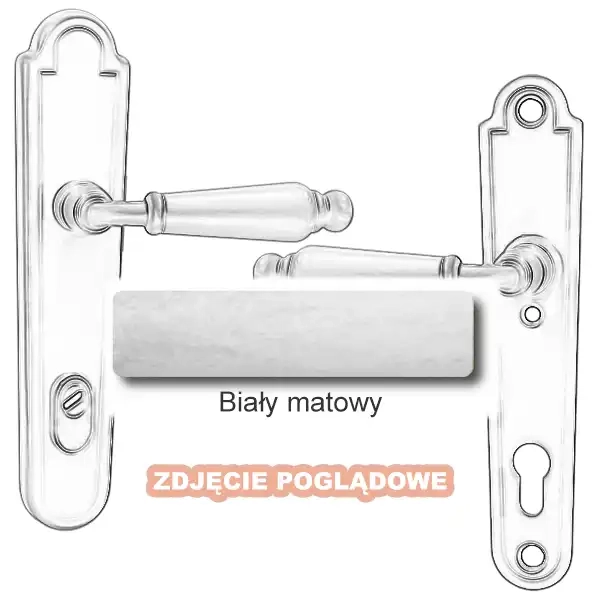 10 Biały matowy.webp