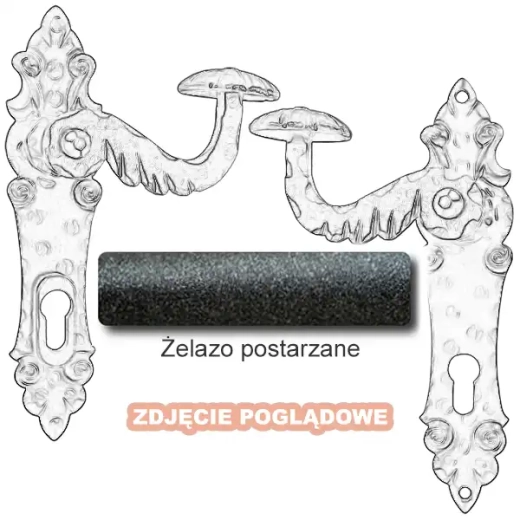 4 Żelazo postarzane.webp